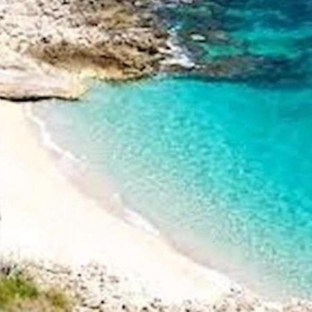 Stella Marina Hotel Castellammare del Golfo Kültér fotó